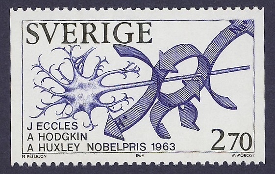 Eccles Nobel Prize 1963