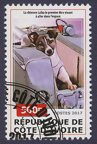 Laika
                dog sputnik