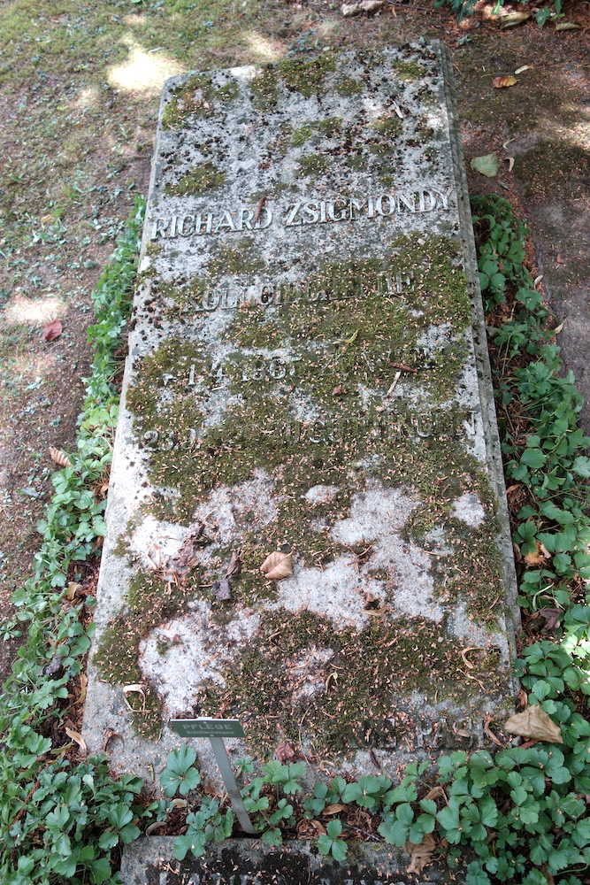 Richard Zsigmondy Göttingen