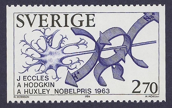 Eccles
                Nobel Prize 1963