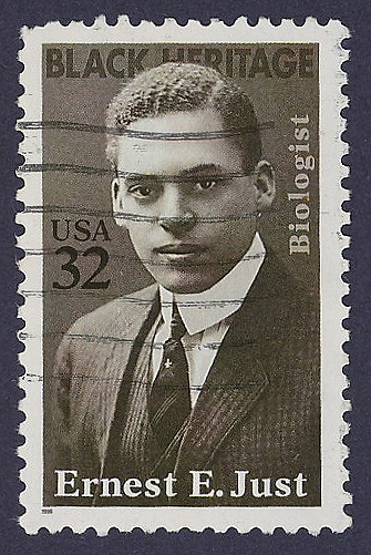 Ernest E.
                Just