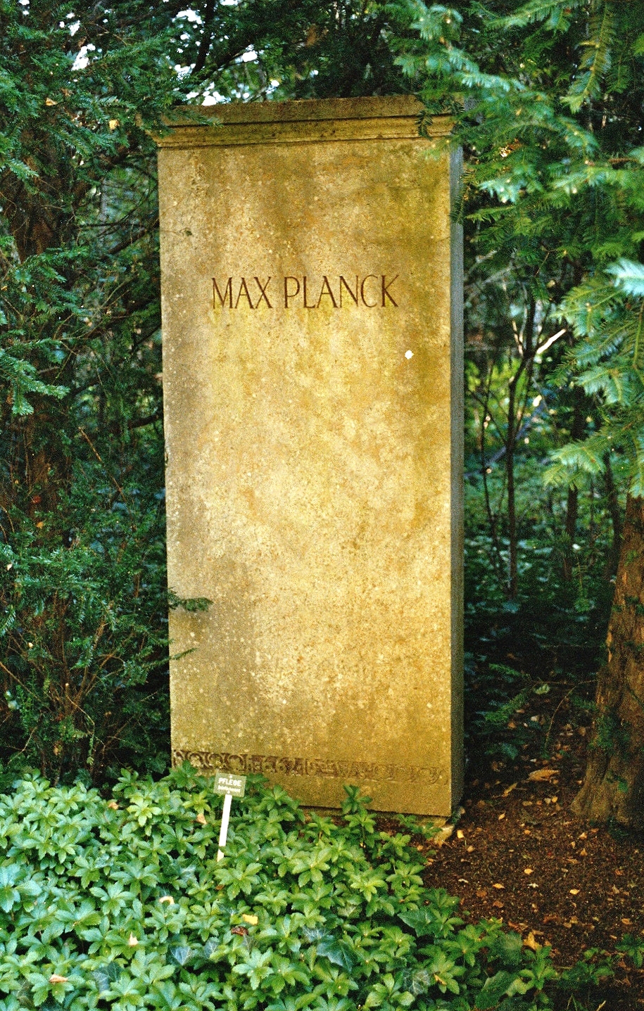 Max
        Planck Gttingen